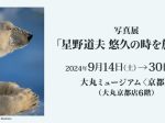 写真展「星野道夫 悠久の時を旅する」大丸ミュージアム〈京都〉