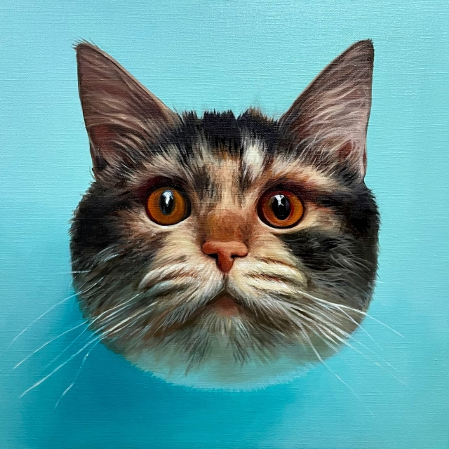 MOYAN《浮遊する猫の頭部　Ⅰ》 45.5×45.5 cm / acrylic, oil on canvas / 2024