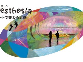 奥中章人「Synesthesia ーアートで交わる五感ー」展 WHAT MUSEUM