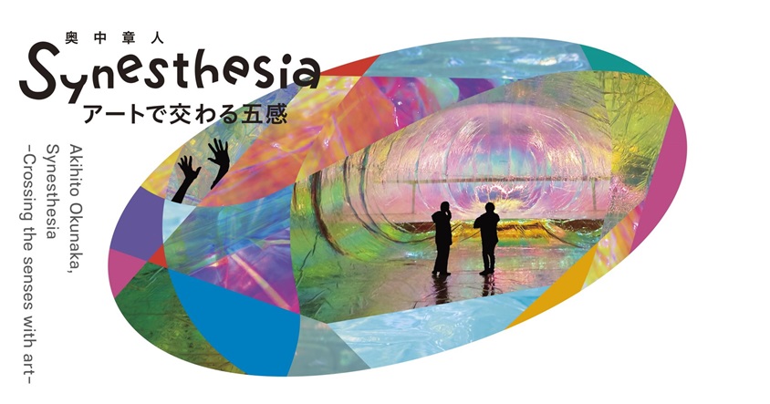 奥中章人「Synesthesia ーアートで交わる五感ー」展 WHAT MUSEUM