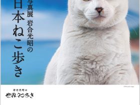 写真展「岩合光昭の日本ねこ歩き」高梁市成羽美術館