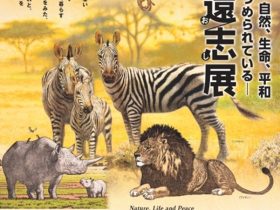 市制施行70周年記念「自然、生命、平和　私たちは見つめられている吉田遠志展」府中市美術館