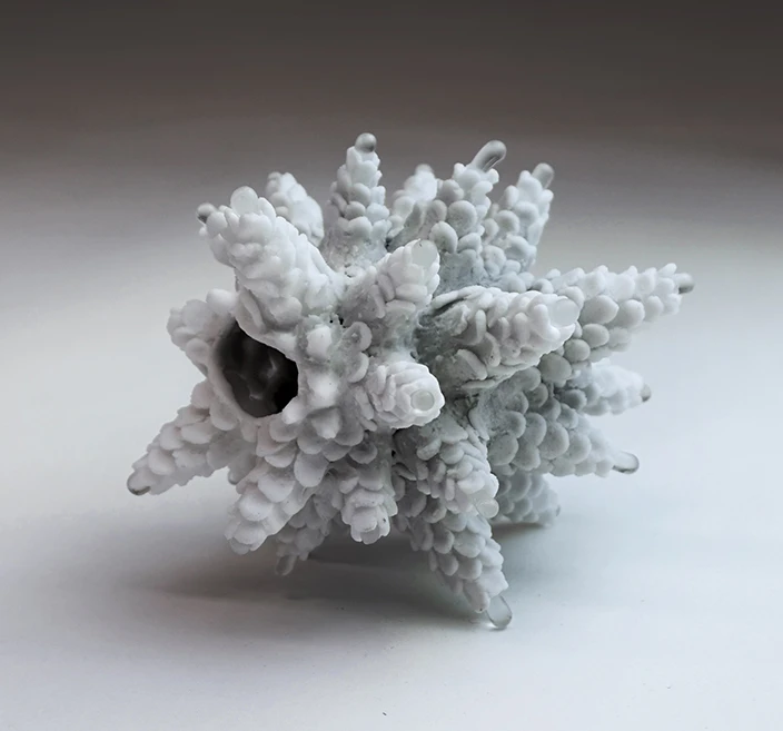 勝川夏樹「植物標本」
(幅12×奥行10×高さ10cm 、
モデリングパートドヴェール〈電気炉焼成〉)