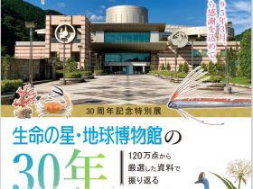 30周年記念特別展「生命の星・地球博物館の30年」神奈川県立生命の星・地球博物館