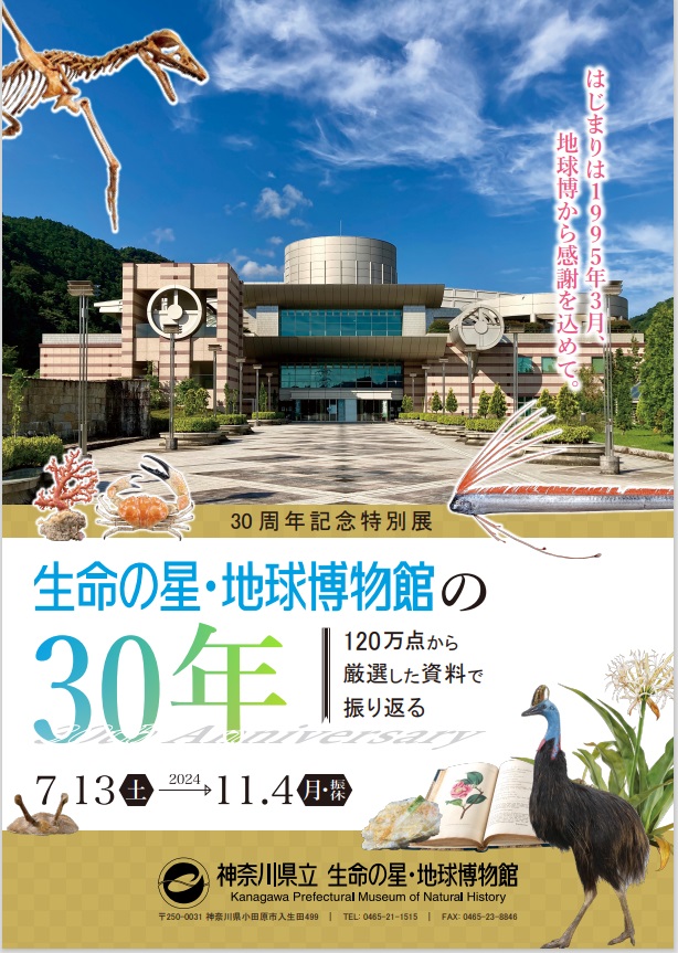 30周年記念特別展「生命の星・地球博物館の30年」神奈川県立生命の星・地球博物館