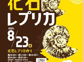 イベント「自分で作ろう！！ 化石レプリカ」地質標本館