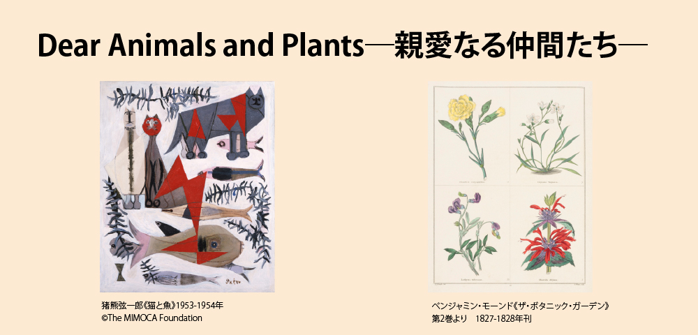 「第７９回南日本美術展」鹿児島県歴史・美術センター黎明館