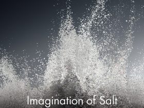 「ISSEY MIYAKE LE SEL D'ISSEY: Imagination of Salt」21_21 DESIGN SIGHT