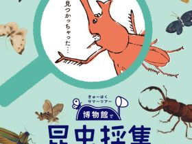 「きゅーはくサマーツアー　博物館で昆虫採集」九州国立博物館