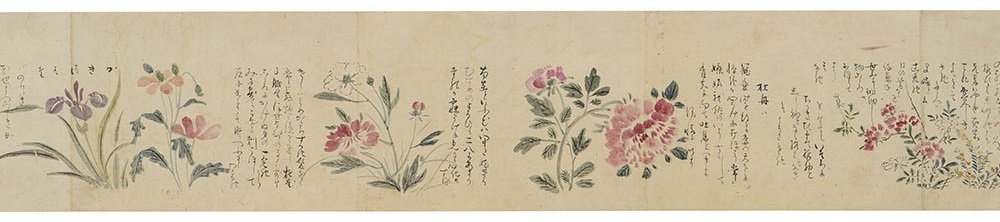 森川許六《百花譜》（部分） 1704年