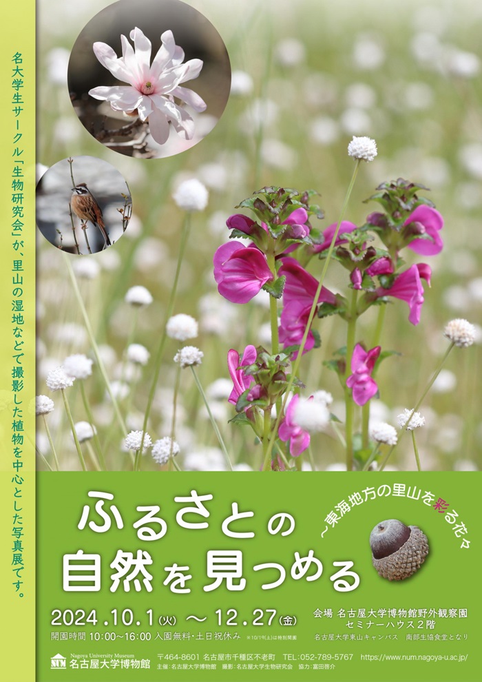 写真展「ふるさとの自然を見つめる～東海地方の里山を彩る花々」名古屋大学博物館