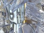 沖野冬香 「SCAR」新宿眼科画廊