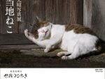 「岩合光昭写真展　ご当地ねこ」美術館「えき」KYOTO