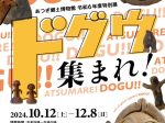 特別展「ドグウ集まれ！」あつぎ郷土博物館