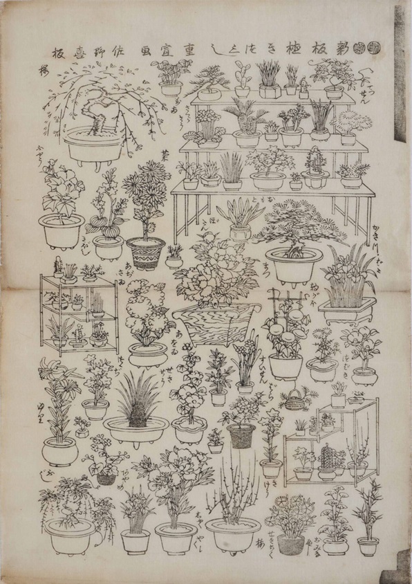 歌川重宣「新板植きつくし（校合摺）」弘化4年～嘉永5年（1847～1852）、個人蔵（前期）