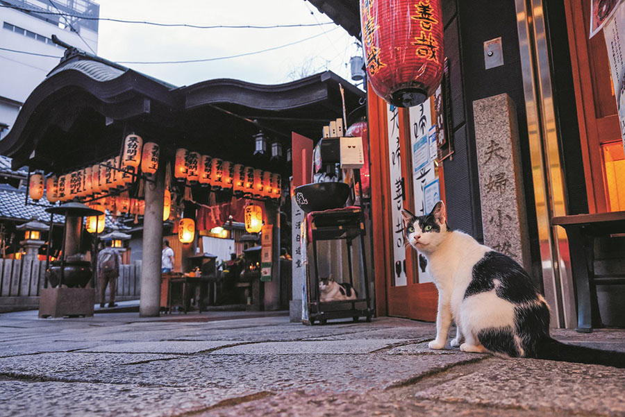 【近畿】大阪府、大阪市　
©Mitsuaki Iwago