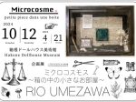 グループ展「ミクロコスモス～箱の中の小さなお部屋～」箱根ドールハウス美術館