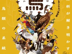 特別展「鳥 ～ゲノム解析で解き明かす新しい鳥類の系統～」国立科学博物館