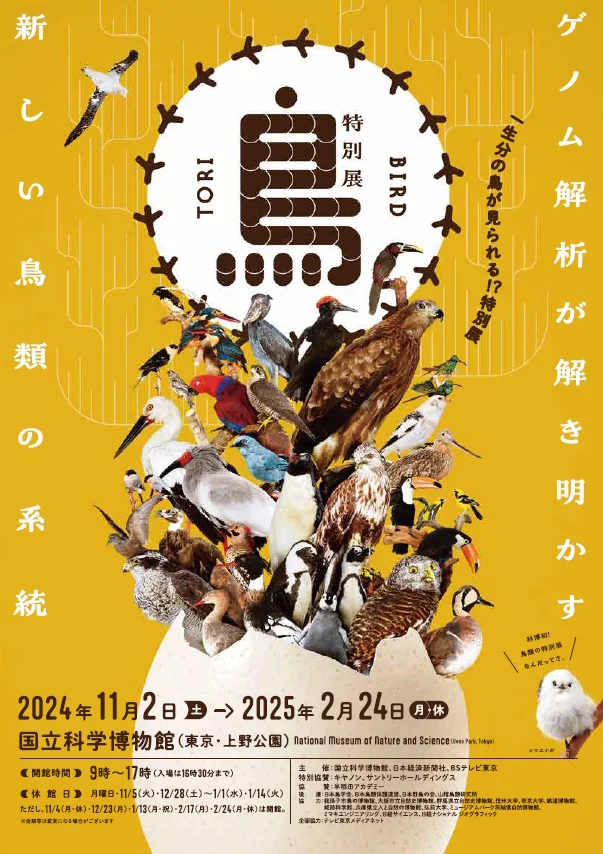 特別展「鳥 ～ゲノム解析で解き明かす新しい鳥類の系統～」国立科学博物館