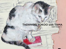 「TADANORI YOKOO with TAMA」Bギャラリー