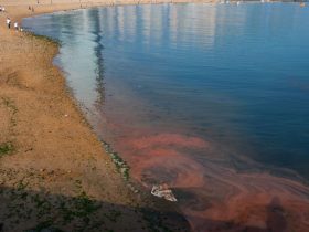 清水裕貴《大連の海岸 「星落ちる海」より》2024年