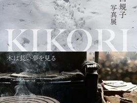 山口規子写真展「KIKORI　木は長い夢を見る」青森県立美術館