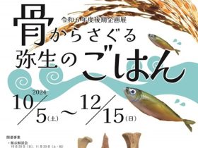 企画展「骨からさぐる弥生のごはん」尼崎市立歴史博物館田能資料館