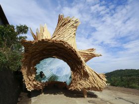 《伊吹の樹（Tree of Ibuki）》2019 伊吹島、香川、日本 写真：木奥惠三