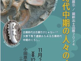 特別展示「古墳時代中期の人々のくらし」小田原市郷土文化館