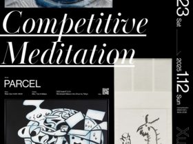 「Competitive Meditation」parcel