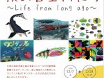 ミニ企画展「僕の古生物たち 〜Life from long ago〜」蒲郡市生命の海科学館