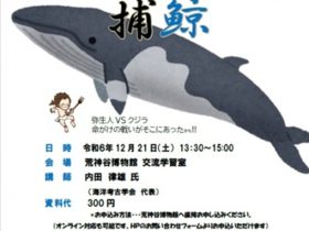 第228回　定例講演会「弥生時代の捕鯨」荒神谷博物館