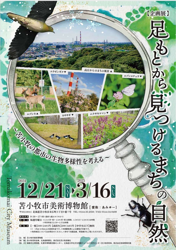 企画展「足もとから見つける、まちの自然」苫小牧市美術博物館