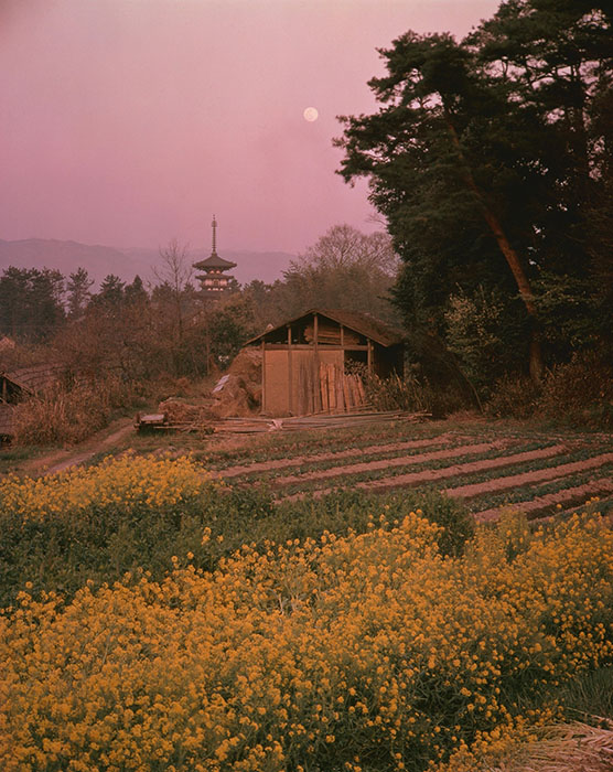 「西の京春宵」撮影年：1963 年頃