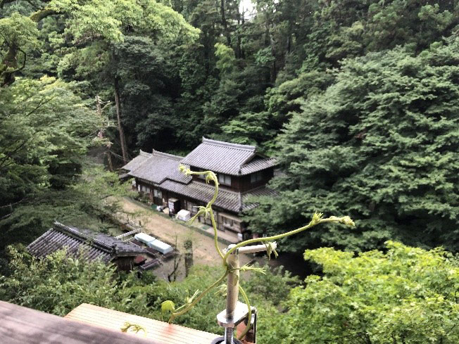 はづき茶屋（摩尼殿から望む）
©書寫山圓教寺