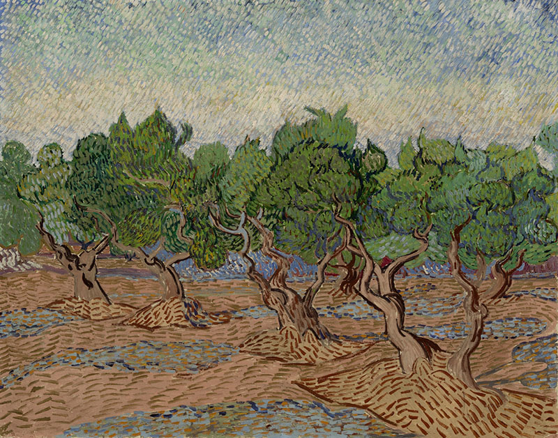 フィンセント・ファン・ゴッホ 《オリーブ園》 1889年11月　油彩、カンヴァス　73.2×92.2cm
ファン・ゴッホ美術館、アムステルダム（フィンセント・ファン・ゴッホ財団）
Van Gogh Museum, Amsterdam (Vincent van Gogh Foundation)