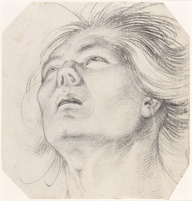 ハンス・バルドゥング・グリーン《下から見た若い男性の頭部》木炭、紙
スウェーデン国立美術館蔵 ©Cecilia Heisser/Nationalmuseum