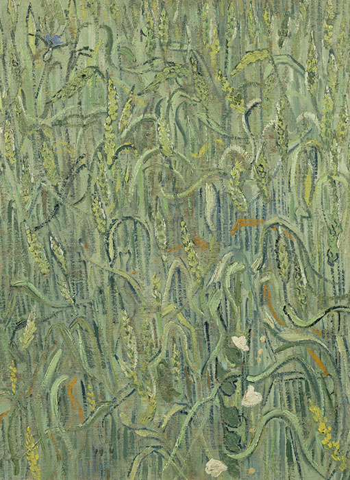 フィンセント・ファン・ゴッホ 《麦の穂》 1890年6月　油彩、カンヴァス　64×48cm
ファン・ゴッホ美術館、アムステルダム（フィンセント・ファン・ゴッホ財団）
Van Gogh Museum, Amsterdam (Vincent van Gogh Foundation)