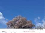 「Life is Beautiful 大沼英樹と桜」仙台文学館