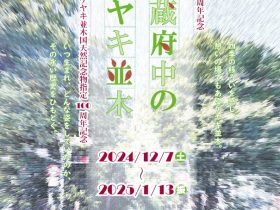 特別展「武蔵府中のケヤキ並木」府中市郷土の森博物館