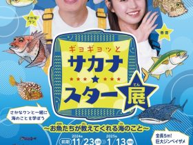 特別展「ギョギョッとサカナ★スター展ーお魚たちが教えてくれる海のこと」延岡城・内藤記念博物館