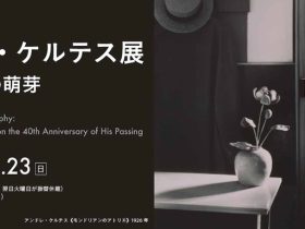 「アンドレ・ケルテス展〜前衛写真の萌芽」東京富士美術館