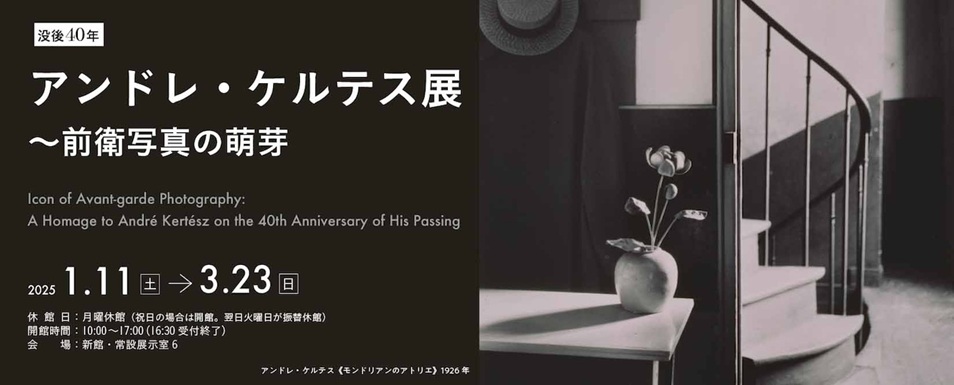 「アンドレ・ケルテス展〜前衛写真の萌芽」東京富士美術館