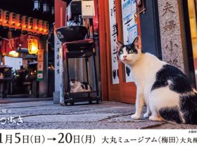 岩合光昭写真展「ご当地ねこ」大丸ミュージアム〈梅田〉