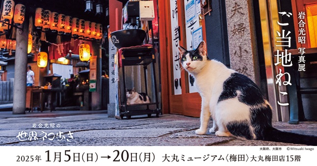 岩合光昭写真展「ご当地ねこ」大丸ミュージアム〈梅田〉