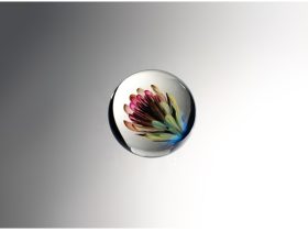 「Posy」Φ4.8㎝　理化学ガラス・金・銀