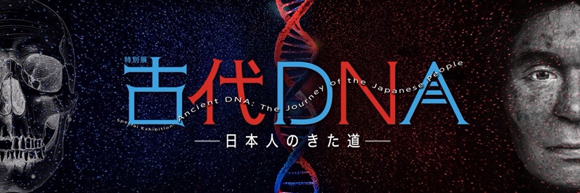 特別展「古代DNA 日本人のきた道−ルーツを探れ。 古代人の声を聴け。−」国立科学博物館