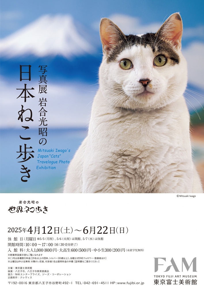 「写真展　岩合光昭の日本ねこ歩き」東京富士美術館