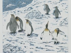 田中茂一 ｢キングペンギンたちの日々｣ 30×36.5cm エッチング、アクアチント