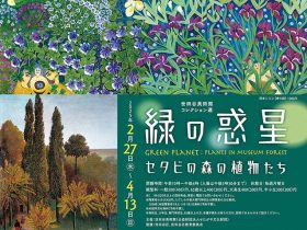 コレクション選「緑の惑星　セタビの森の植物たち」世田谷美術館